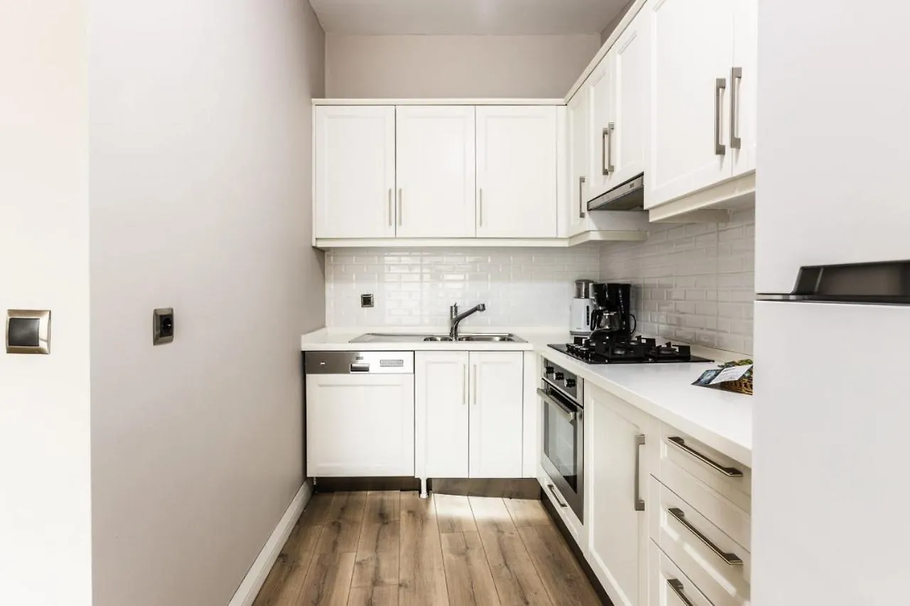 Exceptional Flat With Galata Tower View In Beyoglu Apartment Istanbul
